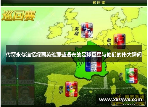 传奇永存追忆绿茵英雄那些逝去的足球巨星与他们的伟大瞬间