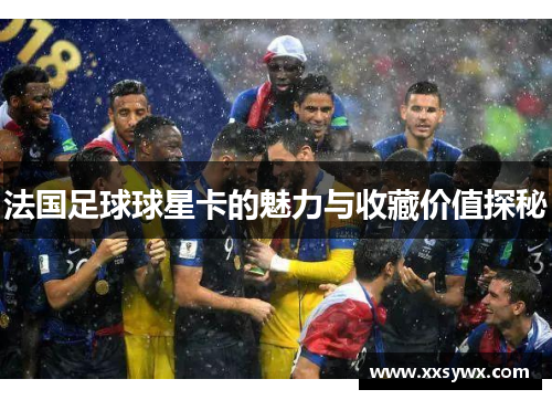 法国足球球星卡的魅力与收藏价值探秘
